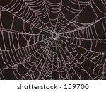 spider web | Shutterstock . vector #159700