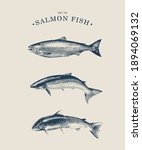 Vector Line Art Set Of Salmon...