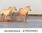 Running Horses On Water 