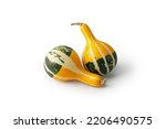 Colorful decorative pumpkins isolated on white background for Thanksgiving, Halloween. Set of mini pumpkins.