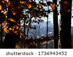 photographs of wild nature... | Shutterstock . vector #1736943452