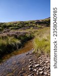 Small photo of River Swale in Cairngorms National Park, in Yorkshire, United Kingdom. Surrounded by heather, violet flowers in full bloom. Summer photo. Scenic views, stunning, relaxing and wild.