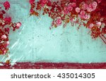 Frame Of Wild Pink Red Roses In ...
