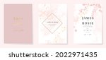 minimal pink botanical wedding... | Shutterstock .eps vector #2022971435