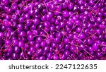 Small photo of Purple cherries top view. Cherry fruits with unnatural colors. Fruit background. Printable wallpaper for wall decorations.