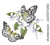 couple of butterflies in... | Shutterstock . vector #1635371002
