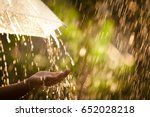 Woman Hand With Umbrella In The ...