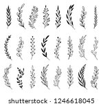 hand drawn set of floral  plant ... | Shutterstock .eps vector #1246618045