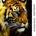 Bengal Tiger A Fractal Filtered ...