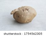 Stephania erecta Shaped like a penis.Is a herbaceous plant with a head underground. The head shape looks like a ball like a rock.