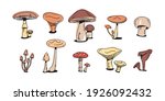 Mushroom Colorful Doodle Set....