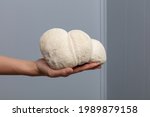 Giant Lion's Mane Mushroom being held by Hands