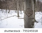 Heart Carved In Tree In A...