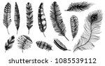 Set Of Rustic Feathers Of...