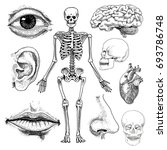 Human Biology  Anatomy...