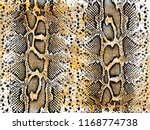 Snake Skin Background