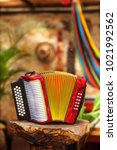 Small photo of button accordion vallenato