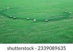 Small photo of white mushrooms forming a fairy ring on a green lawn