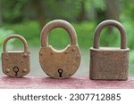 three very old rusty reliable different retro padlocks on a wooden surface on a green background outdoors in the summer afternoon