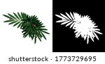top view tropical bush plant ... | Shutterstock . vector #1773729695