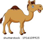 cute camel animal cartoon... | Shutterstock .eps vector #1916109925