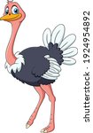 Cute Ostrich Animal Cartoon...