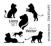 Lions Set Vector