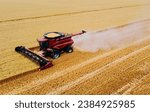 Small photo of Combine tractor harvesting grain in a golden field. Ripe and ready to harvest. Hard work. Country life.
