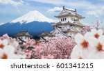 Himeji Castle and full cherry blossom, with Fuji mountain background, Japan