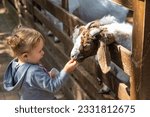 A child feeds a goat on a farm. ...