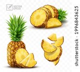3d Realistic Isolated Vector...