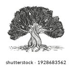 family tree hand drawn sketch... | Shutterstock .eps vector #1928683562