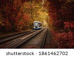 Tram at golden forest autumn tunnel. Electric city transport in Moscow, Russia