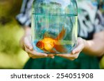 Jar With Gold Fish In Hands Of...