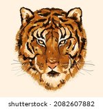 hand drawn abstract tiger head... | Shutterstock .eps vector #2082607882