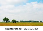 Field With 2 Isolated Trees And ...