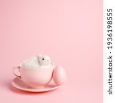 Easter Bunny Rabbit In A Teacup ...