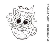 Meow. Cute Kitten In A Cup....