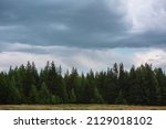 Dark atmospheric landscape with moody coniferous forest in overcast. Dark forest line under cloudy sky during rain. Sharp trees tops under rainy clouds. Pointed pines and pointy spruces in gloomy sky.