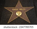 Small photo of LOS ANGELES CA - APR 15: Raoul Walsh star at the Hollywood Walk of Fame in Los Angeles, California, as seen on April 15, 2023.