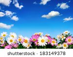 Lush Flower Bed With White And...