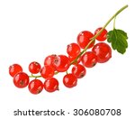redcurrant with leaf