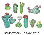 Cactus With Flowers Color Set