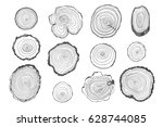 Tree Rings Vector Line Graphic...
