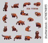 Red Panda Panda Free Stock Photo - Public Domain Pictures