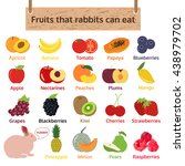 fruits that rabbits can eat.... | Shutterstock .eps vector #438979702