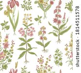 floral seamless pattern flowers ... | Shutterstock .eps vector #1814511578