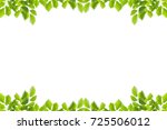 Green leaves frame isolated on...