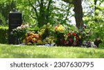 Small photo of Close-up of many colorful flowers at a gravesite in a cemetery against the sunlight, glowing in the spring sun and lying in front of a gravestone on which is written 'Rest in peace' in German scrip