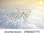 Crowd of birds flying on sky...